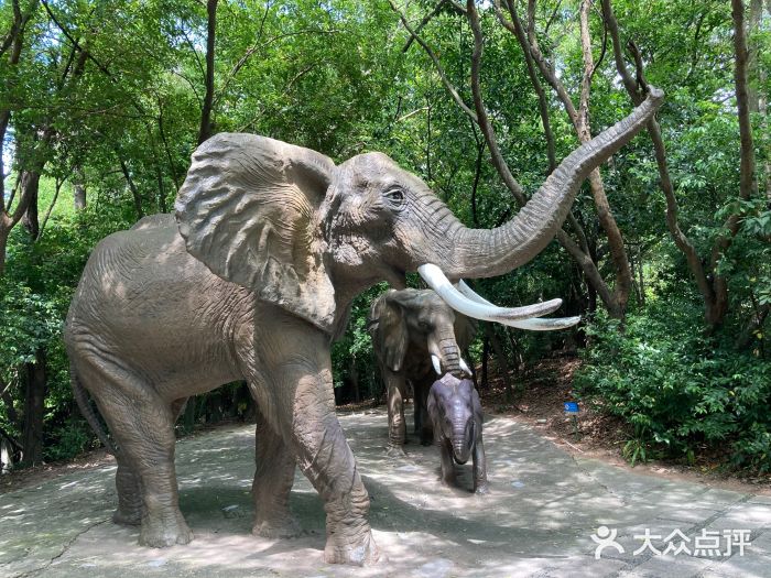 “地球生命力指數”評估報告顯示：野生動物種群銳減人類活動是主因(圖1)