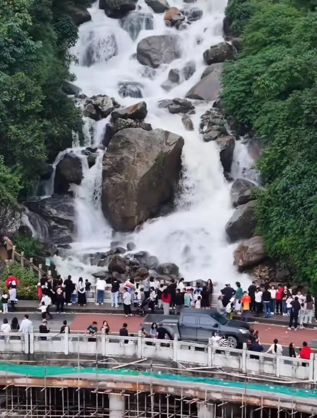 哀牢山爆火：內有大量珍稀野生動物游客涌入引安全警告(圖3)