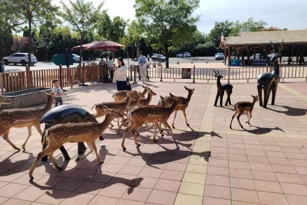 新版地球生命力報告：全球野生動物50年減少逾七成(圖1)