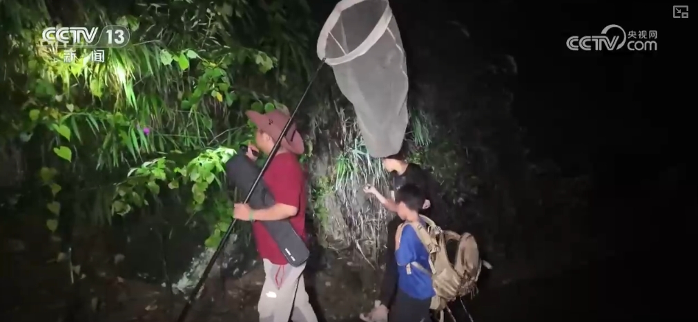 九游娛樂：文化中國行 發現新物種！多樣化保護候鳥 維護生物多樣性(圖13)