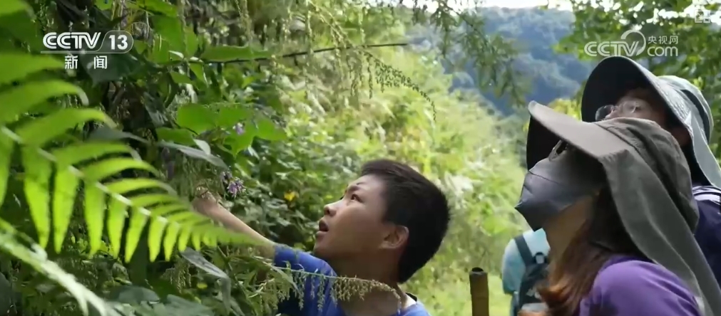 九游娛樂：文化中國行 發現新物種！多樣化保護候鳥 維護生物多樣性(圖17)