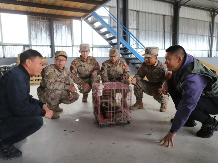 中動協白城護飛隊助力野生動物救助 促進生態和諧(圖4)