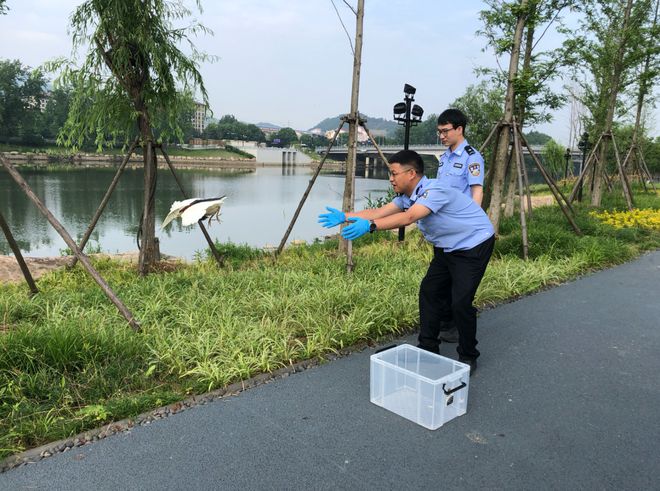 杭州富陽：打造全省首個涉案野生動物保護管理中心(圖7)