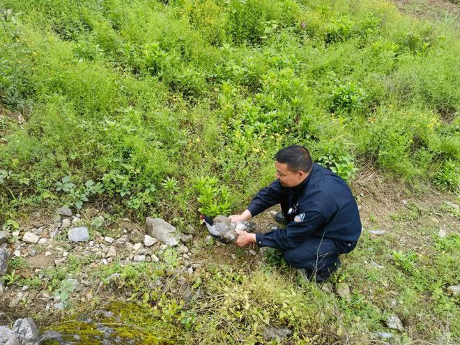 杭州富陽：打造全省首個涉案野生動物保護管理中心(圖8)