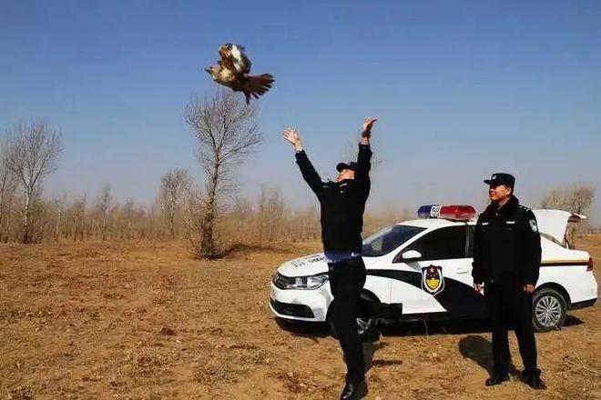 杭州富陽：打造全省首個涉案野生動物保護管理中心(圖9)