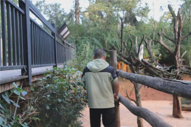 誰撒的滿地都是！云南野生動物園鴕鳥展示區散落萬元現金(圖4)