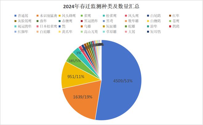 九游娛樂：2024年成都龍泉山春季遷徙猛禽監測晚報(圖1)