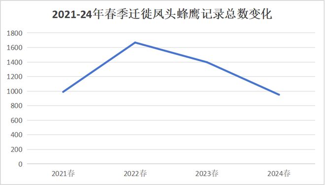 九游娛樂：2024年成都龍泉山春季遷徙猛禽監測晚報(圖7)