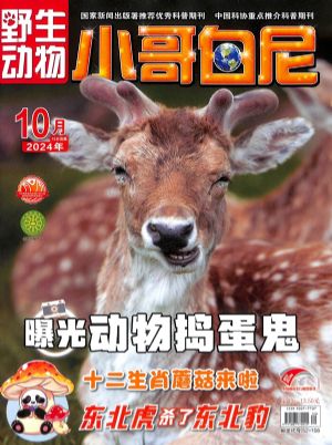 2024廣州長隆野生動物園門票怎么買最合算？(圖1)