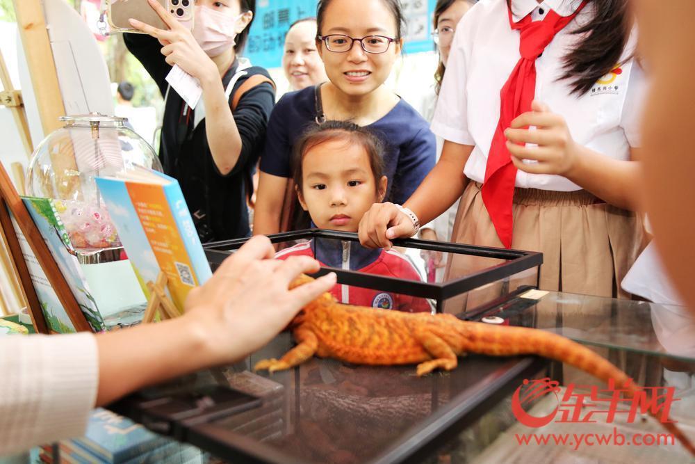 視頻｜廣州啟動廣東省第三十四屆保護野生動物宣傳月活動(圖4)