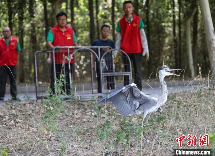 2024深圳野生動物園國慶開放時間(圖1)