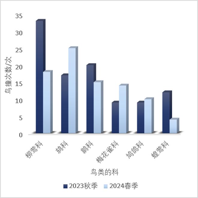 守衛飛翔的自由：【全國防鳥撞行動網絡2024年度報告】(圖6)