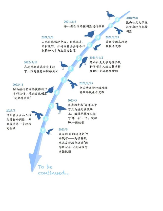 守衛飛翔的自由：【全國防鳥撞行動網絡2024年度報告】(圖8)