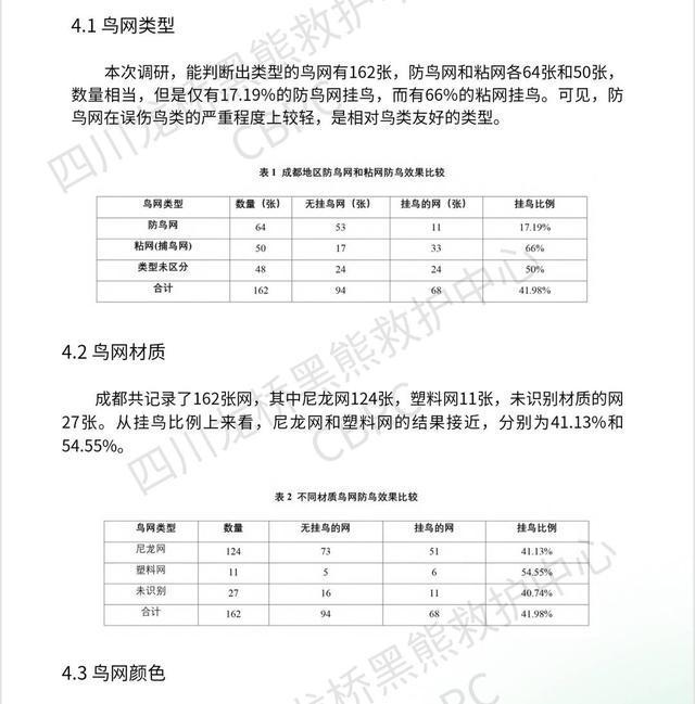 捕鳥網換防鳥網：成都志愿者想為鳥兒“網開一面”丨封面頭條(圖5)