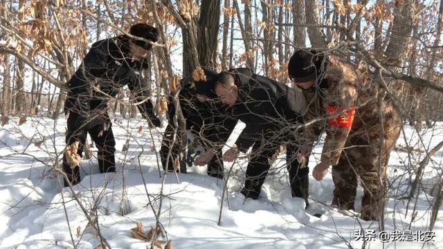 北安：“巡山清套”守護野生動物安全(圖2)