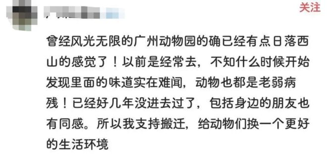 66歲的廣州動物園改造：該以人還是以動物為本？(圖9)