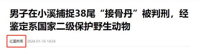 2024年甘肅查獲38條魚干鑒定為“接骨丹”曬魚干為何罰款判刑(圖3)