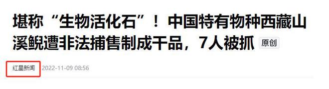 2024年甘肅查獲38條魚干鑒定為“接骨丹”曬魚干為何罰款判刑(圖8)