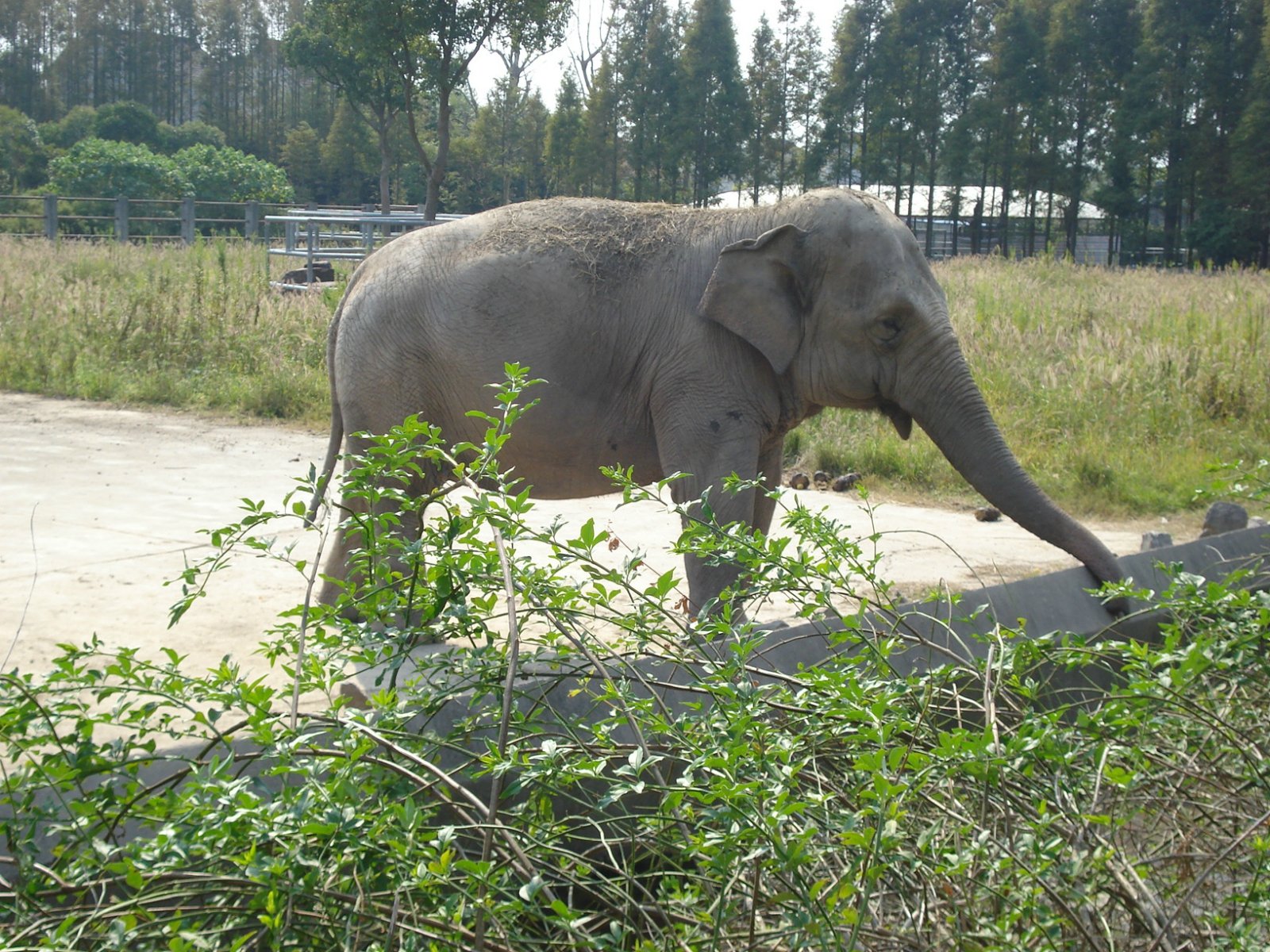 黑龍江啟動“巡山清套” 行動全力保護野生動物(圖1)