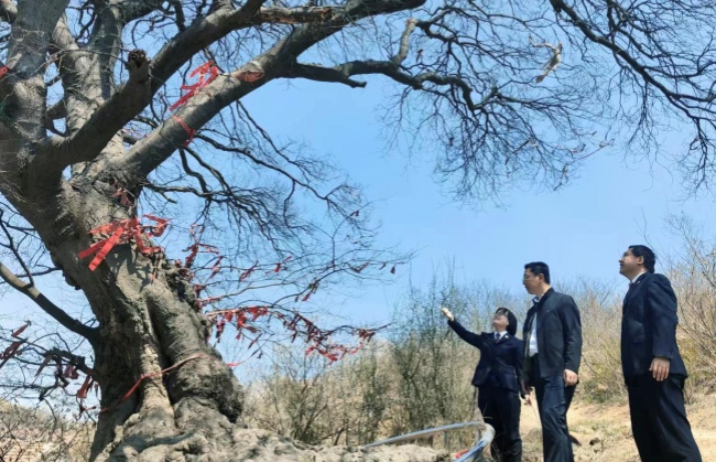 同題報道]山東日照：發揮檢察職能筑牢城市生態底色(圖4)