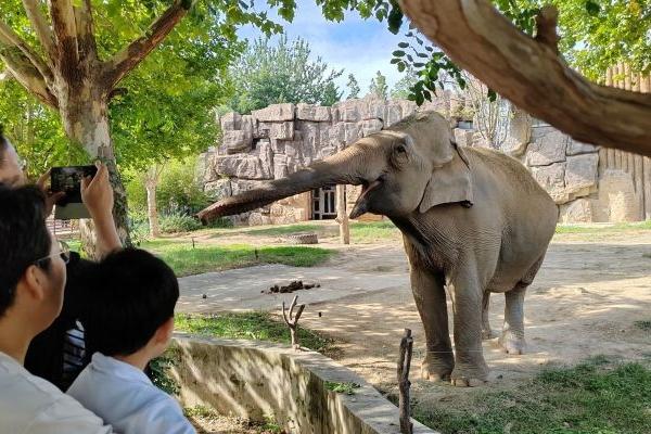 最高法發布人民法院守護以國家公園為主體的自然保護地生態環境典型案例(圖1)